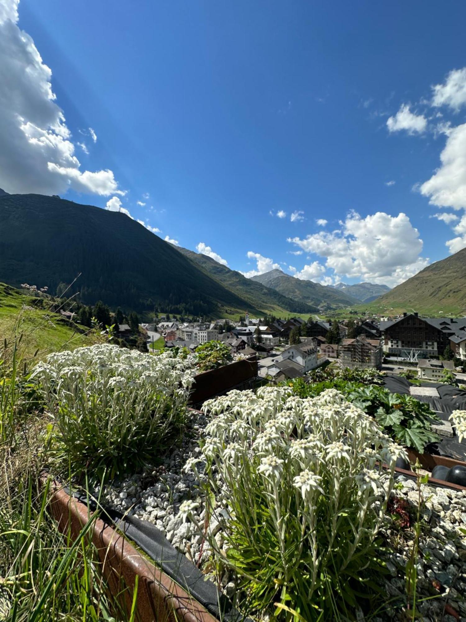 Villa Basecamp Andermatt Exterior foto